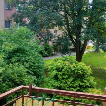 MIESZKANIE na WYNAJEM